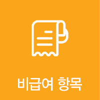 비급여 항목